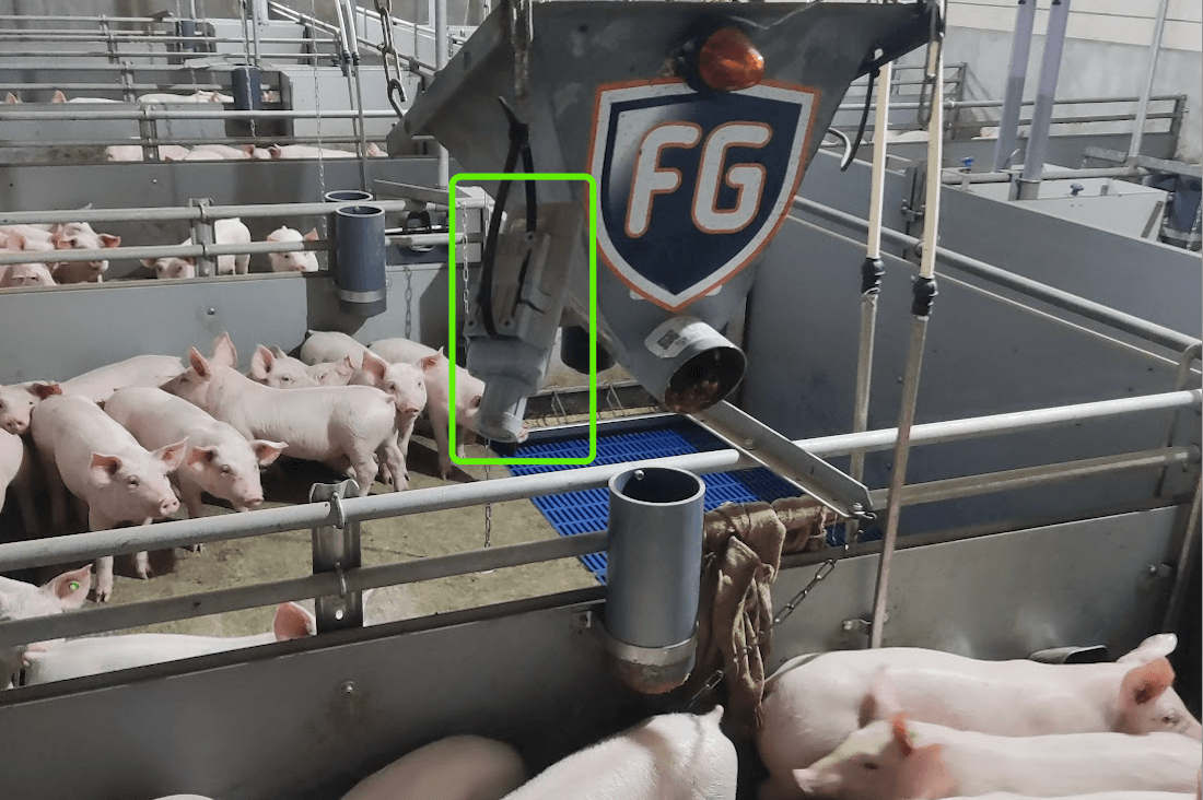 Full-cycle Pig Farming Environment Live Stream