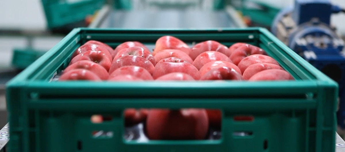 ODM Case Study: Smart Packing System Powered by reTerminal