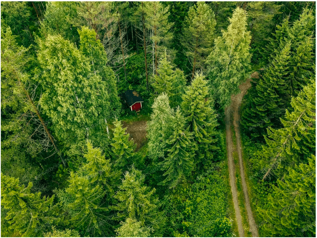 Handheld Monitoring System for Forest Patrol