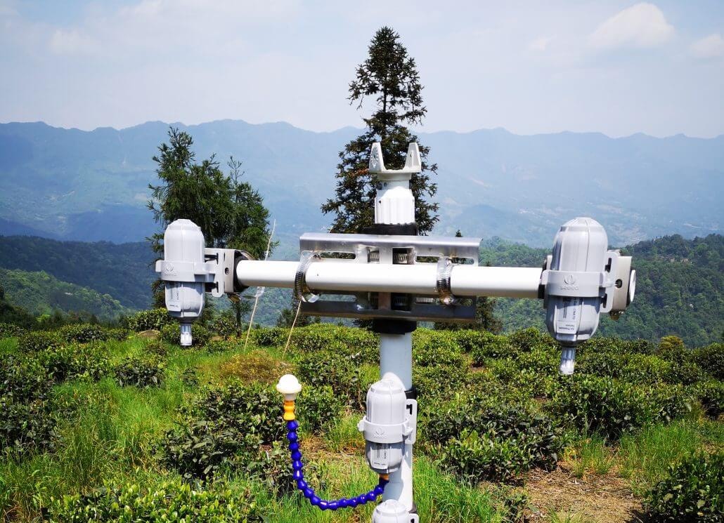 Sichuan Tea Farmers Build Premium Brand with SenseCAP Sensors for Traceability and Value